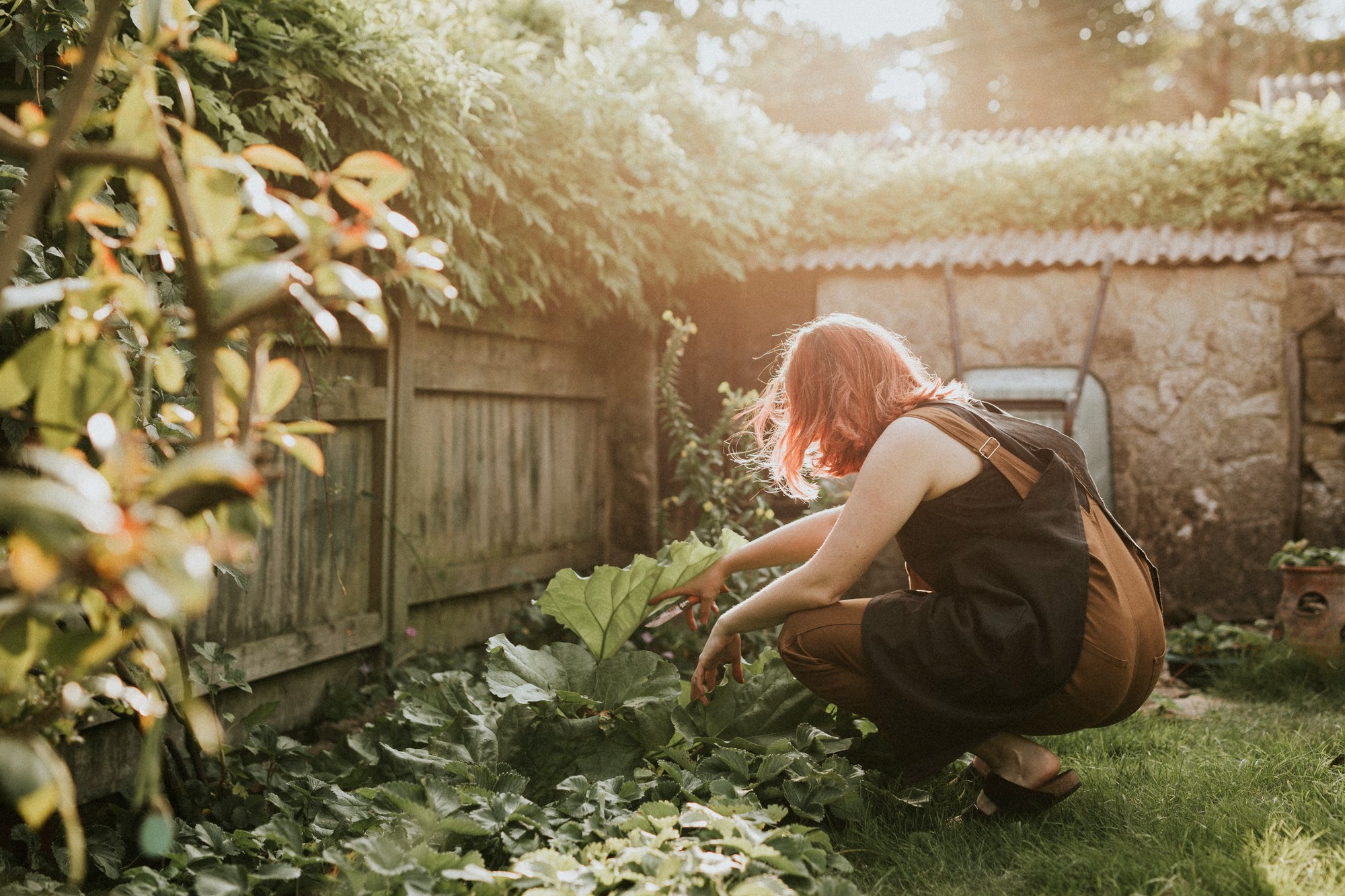 Signs Your Garden Has a Pest Infestation | Garden Pest Control