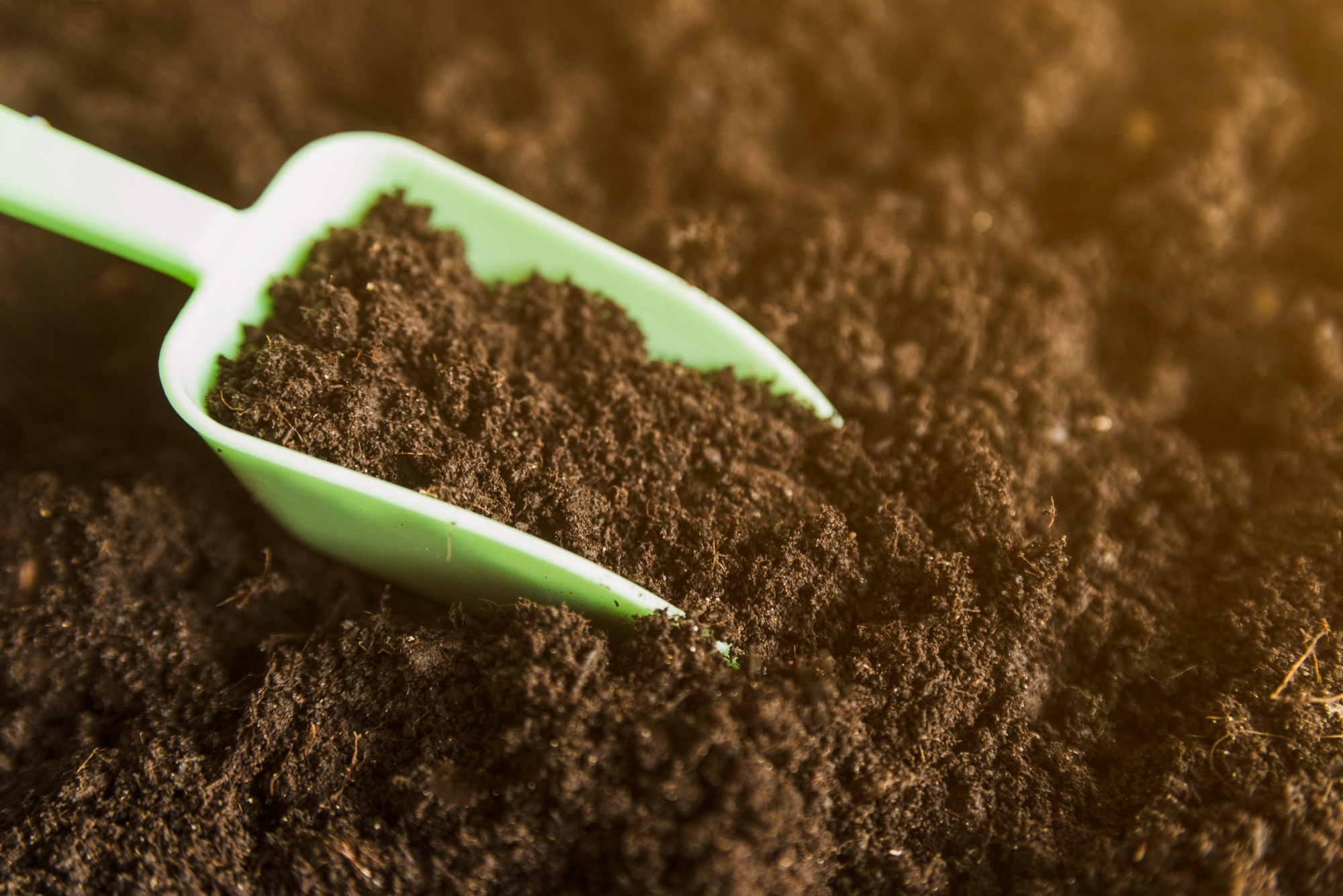 Best Websites to Buy Topsoil for Grass: A Homeowner’s Guide to Lush Lawns