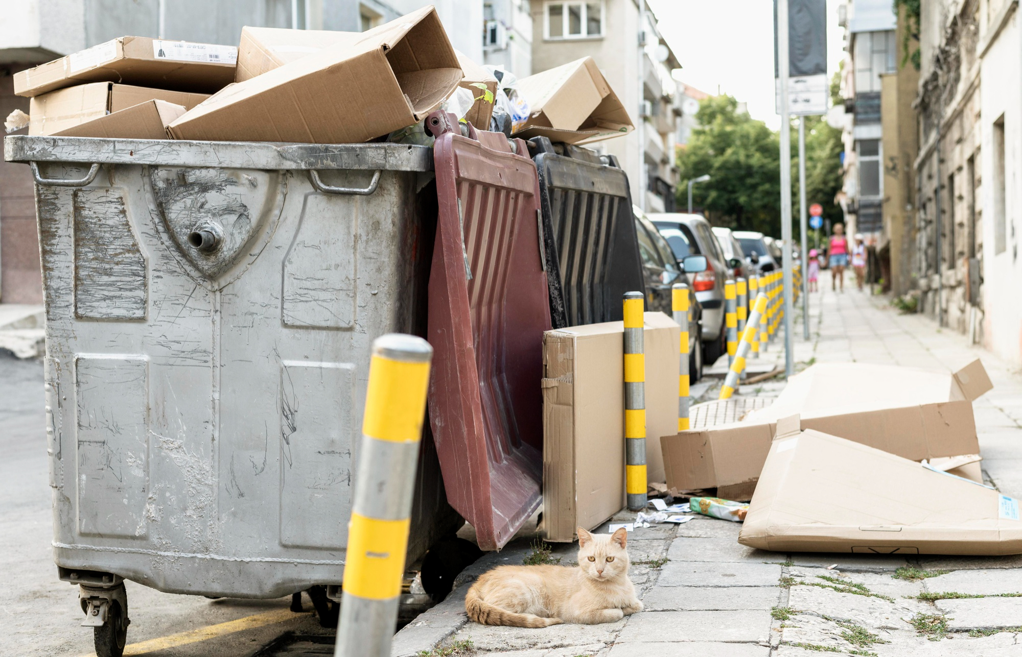 How Much Does It Cost to Rent a Dumpster