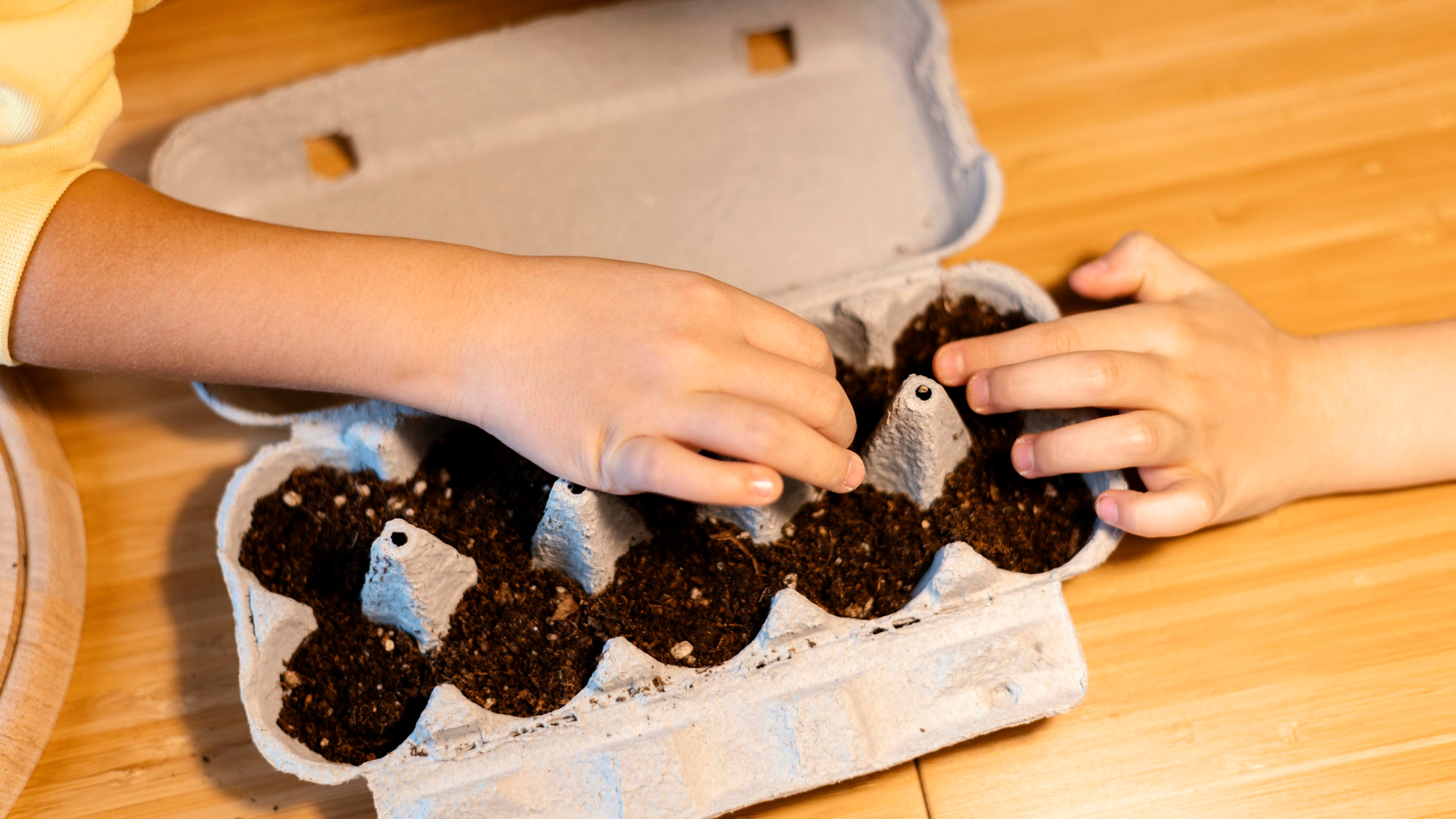 Spring Gardening Tips for Growing Your Own Produce From Seed to Harvest