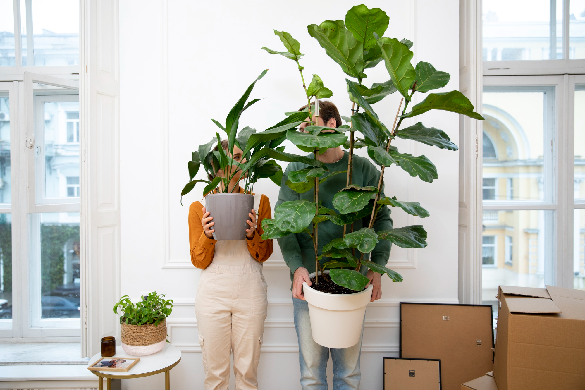 How to Move Your Plants to a New Home Without Losing Them