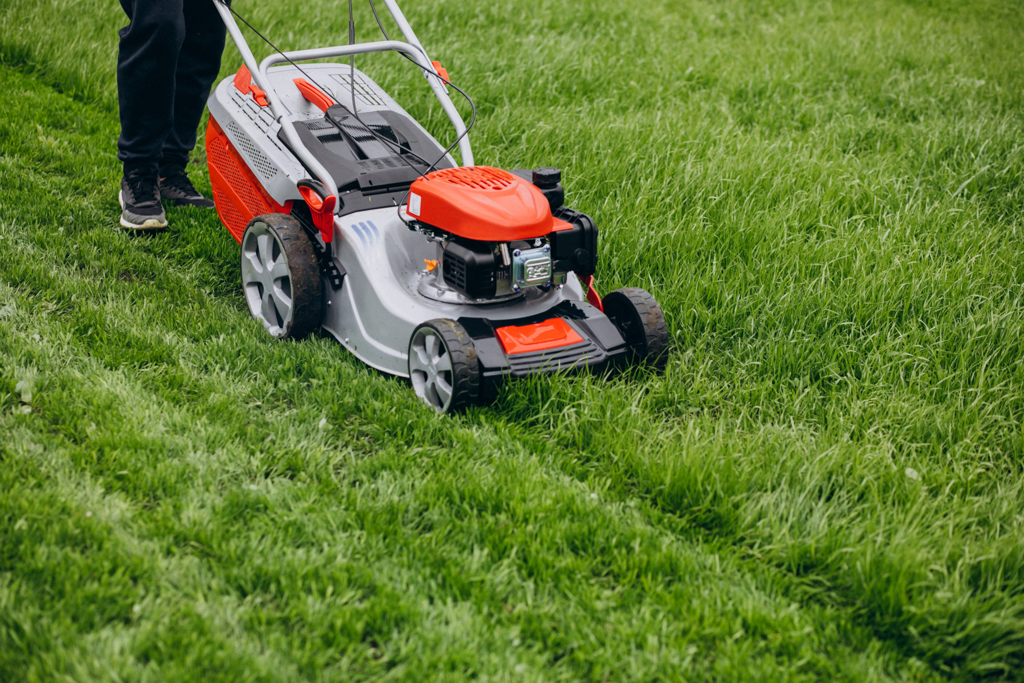 Wake Up Your Lawn: Spring Treatments for Thicker, Greener Grass