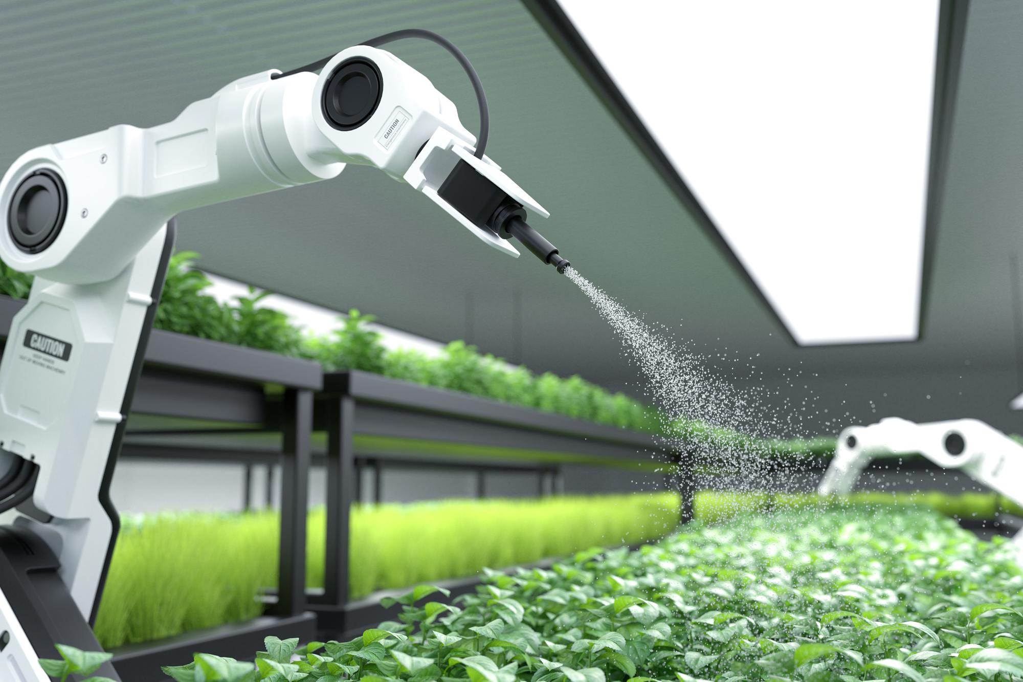 How Smart Irrigation Systems Improve Landscape Health and Water Efficiency