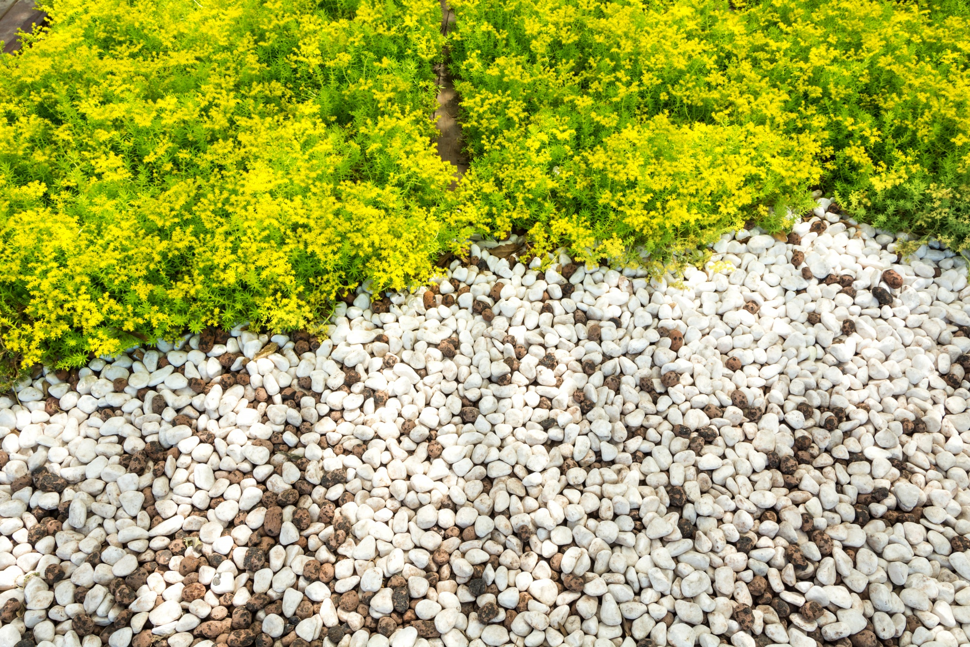 Homeowner’s Guide to Choosing the Right Landscaping Materials