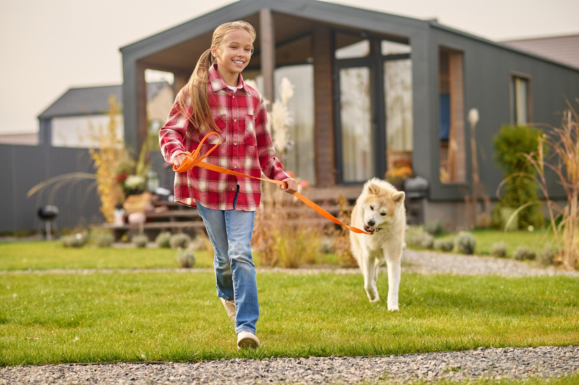 How to Make Your Backyard Safer for Kids and Pets Without Major Renovations