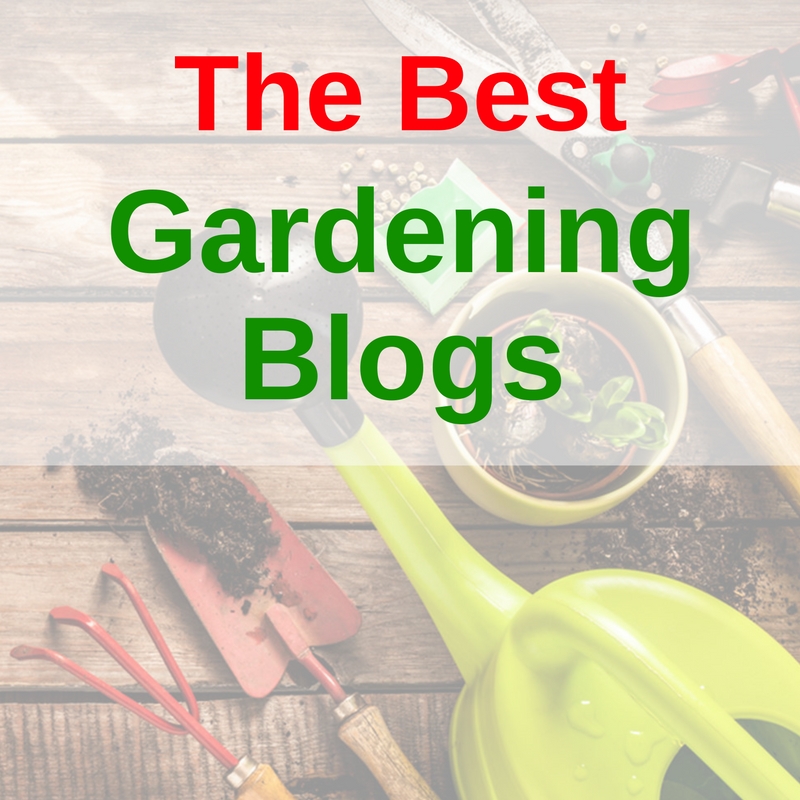 Best Gardening Blogs :: YardYum - Garden Plot Rentals