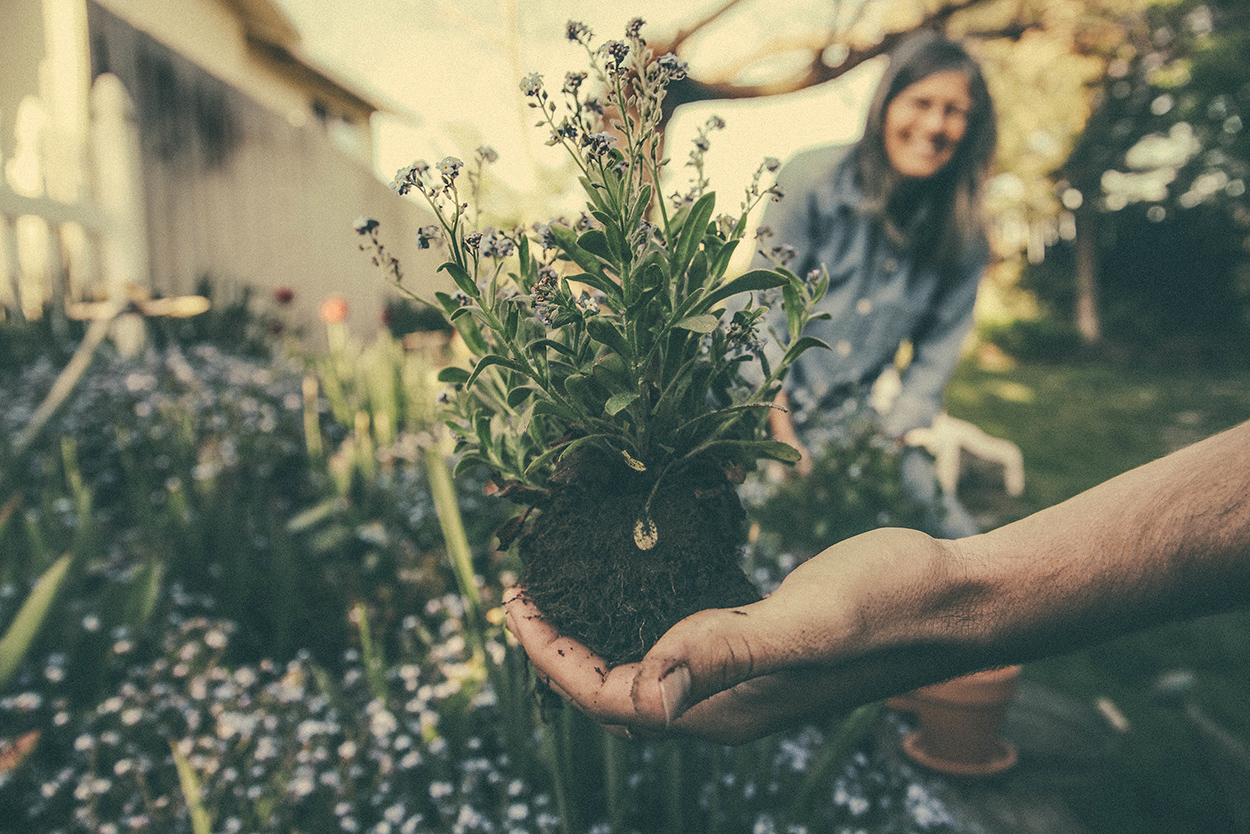 10 Money Saving Tips for Gardening & Planting