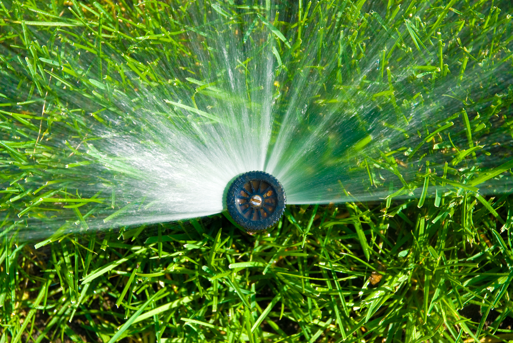 Irrigation on Grass