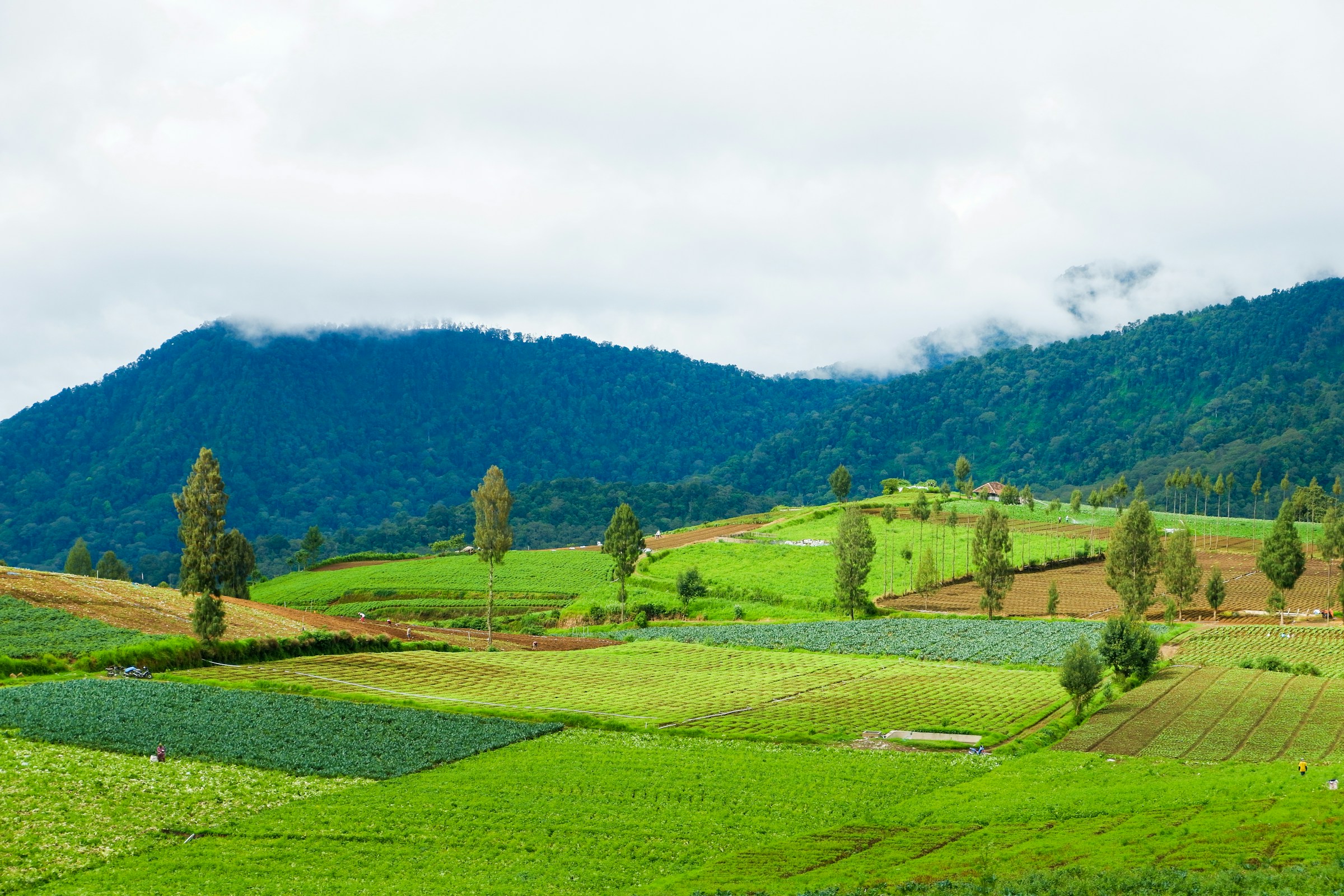 Why Smart Landowners Trust Professionals to Sell Their Property Faster and for More Money
