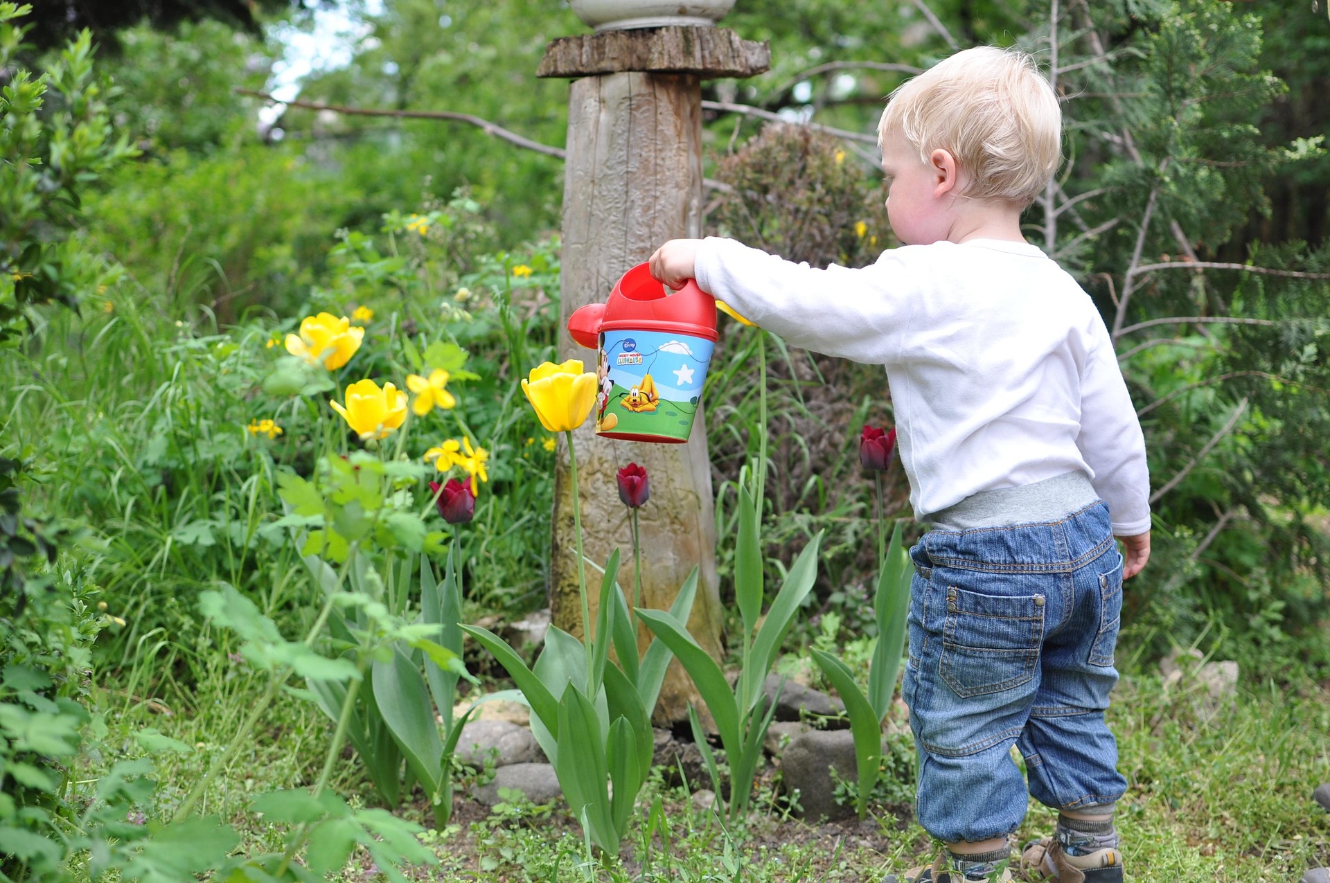 Creating a Calming Garden Environment To Support Well-Being In Children