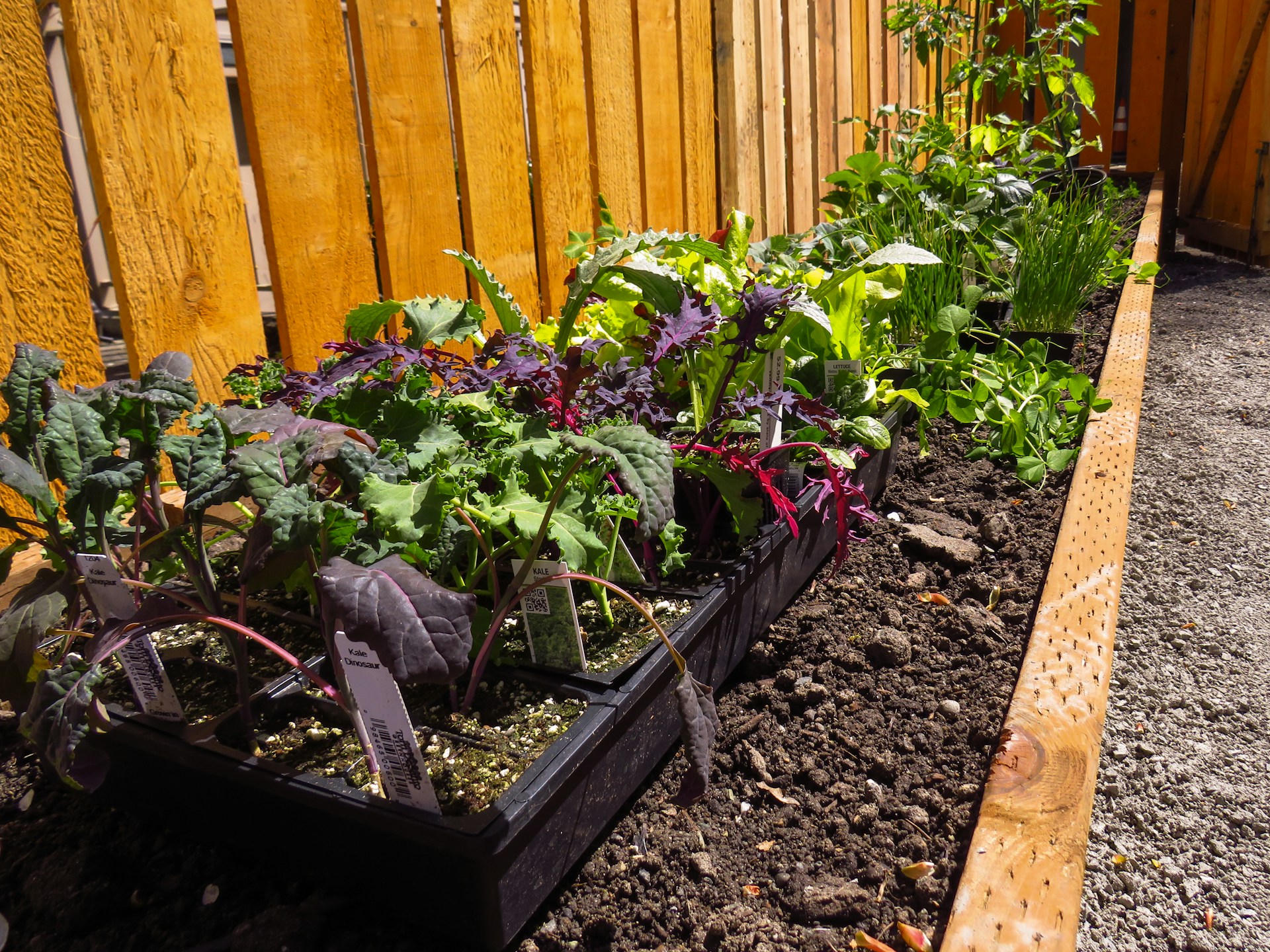 Low-Maintenance Garden Plots for Busy Gardeners