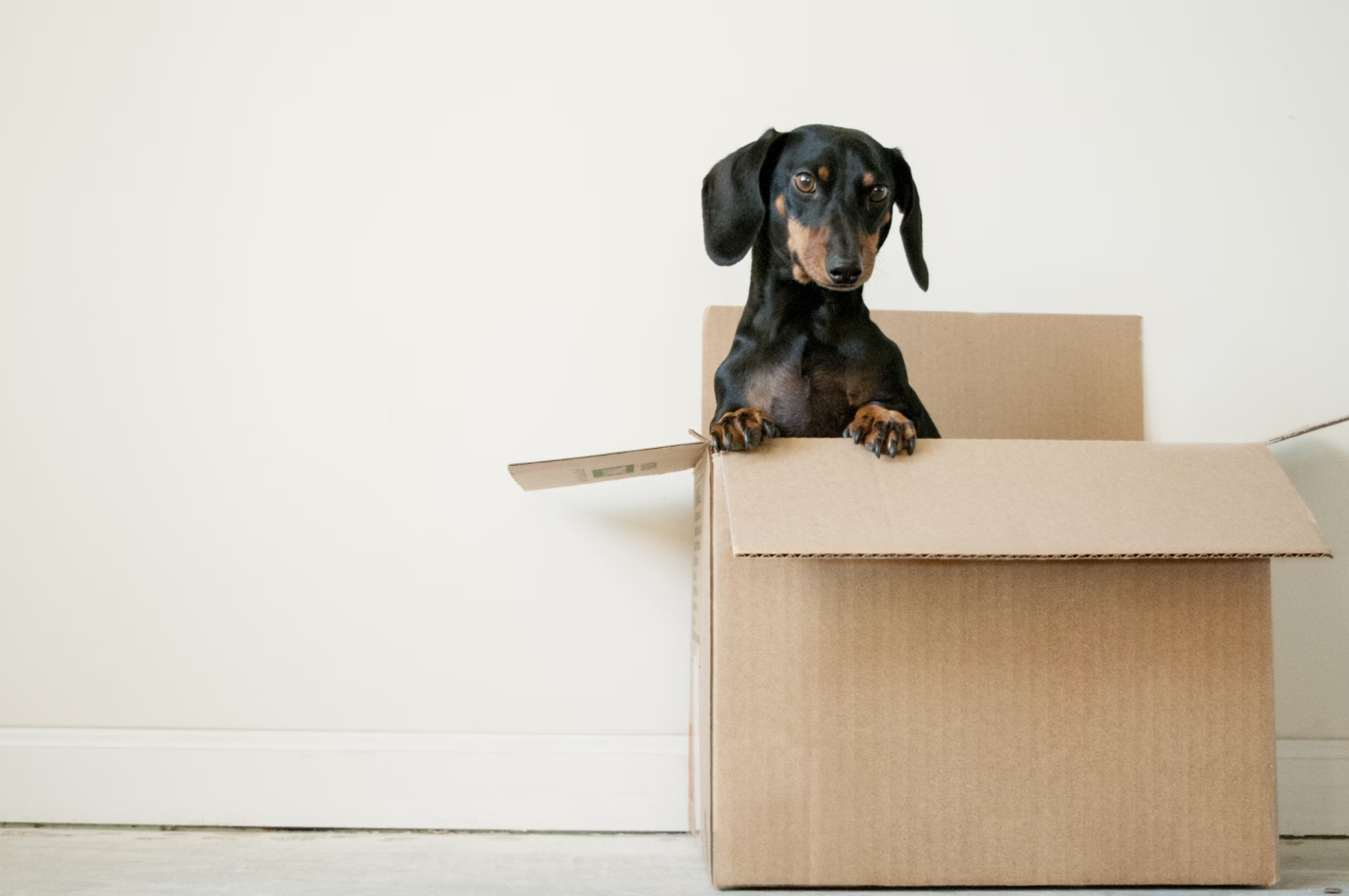 Simplifying Moving and Storage: All You Need to Know About BOXhaul