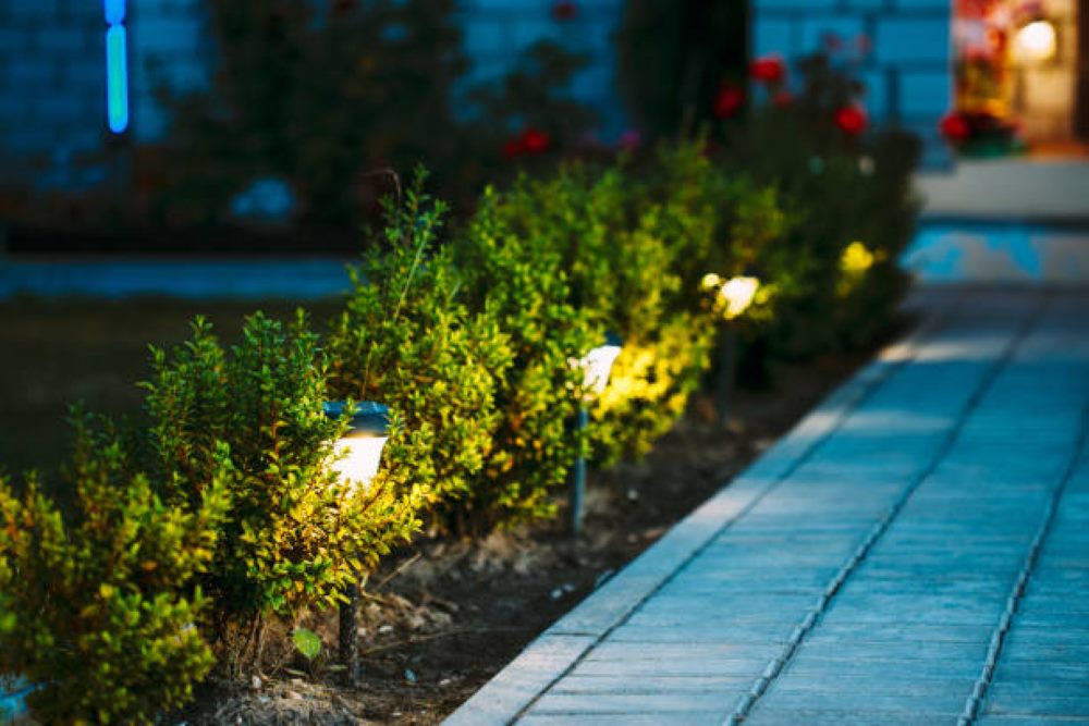 Brighten Up Your Garden with Beautiful Garden Lights!