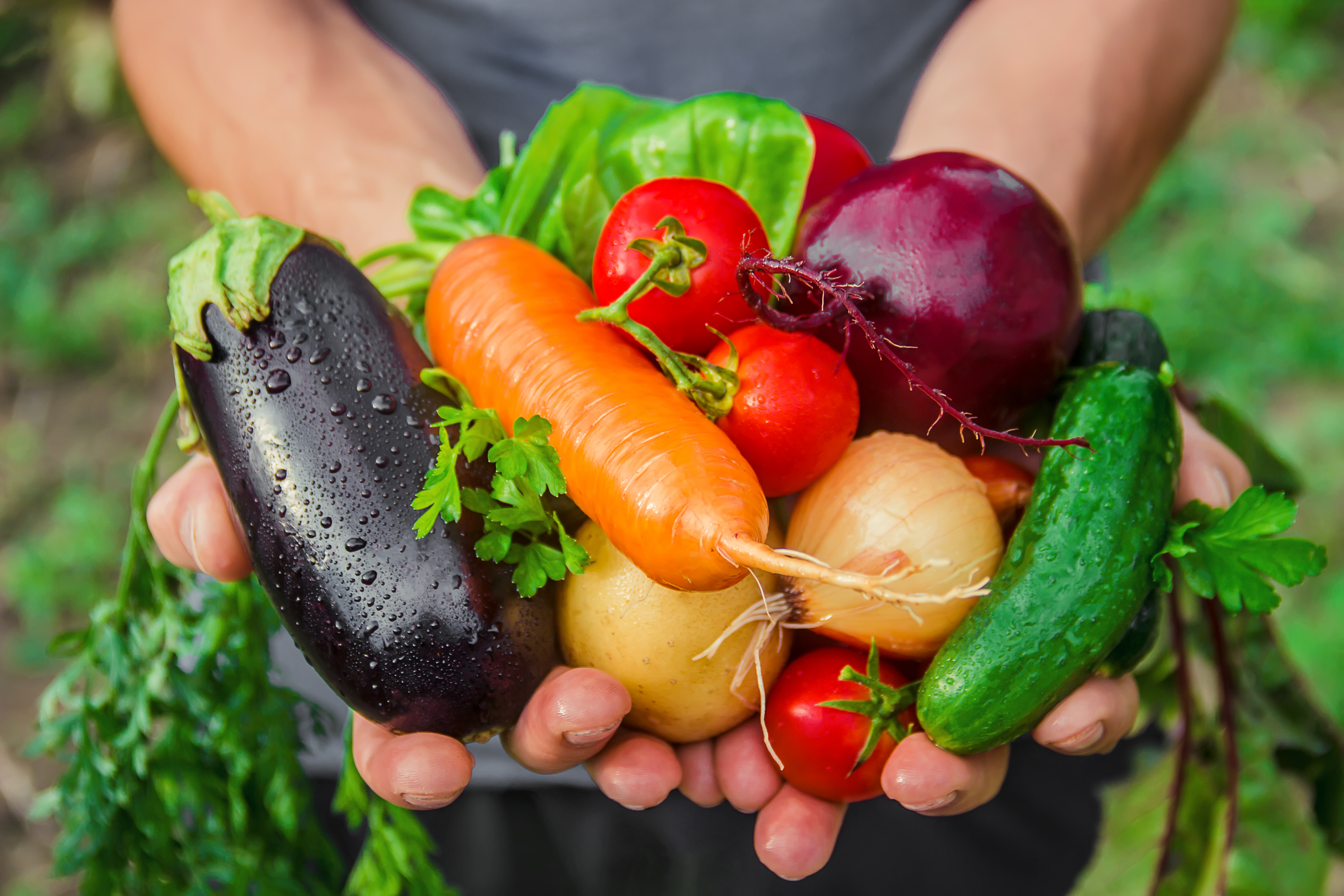 The Grow-Your-Own Food Movement is Thriving