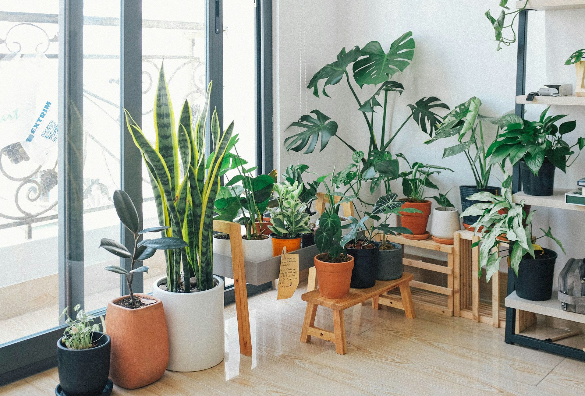 Making the Most of Limited Sunlight in Your Garden