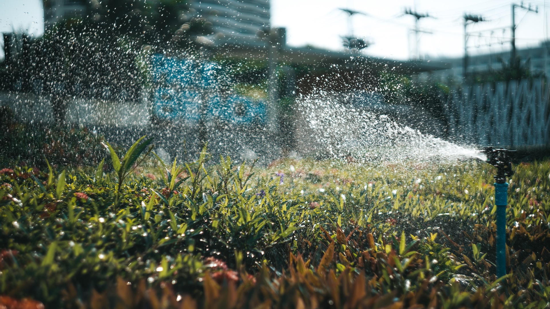 The Benefits of Installing a Sprinkler System in Your Garden