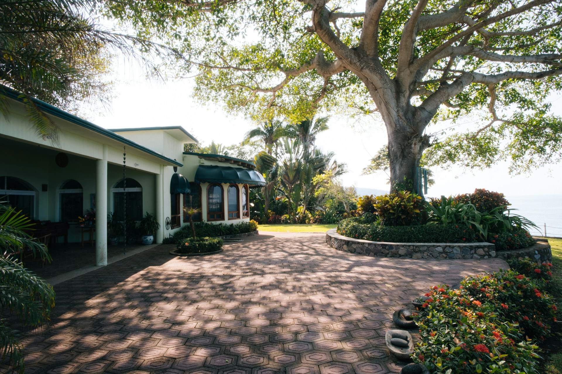 When Is Tree Removal Necessary? 