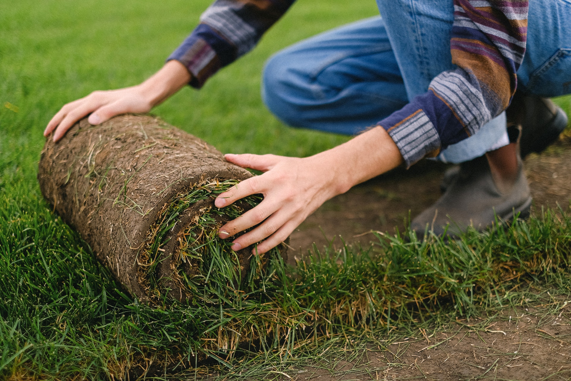 Why Sod is the Best Option for a Quick, Lush Lawn?