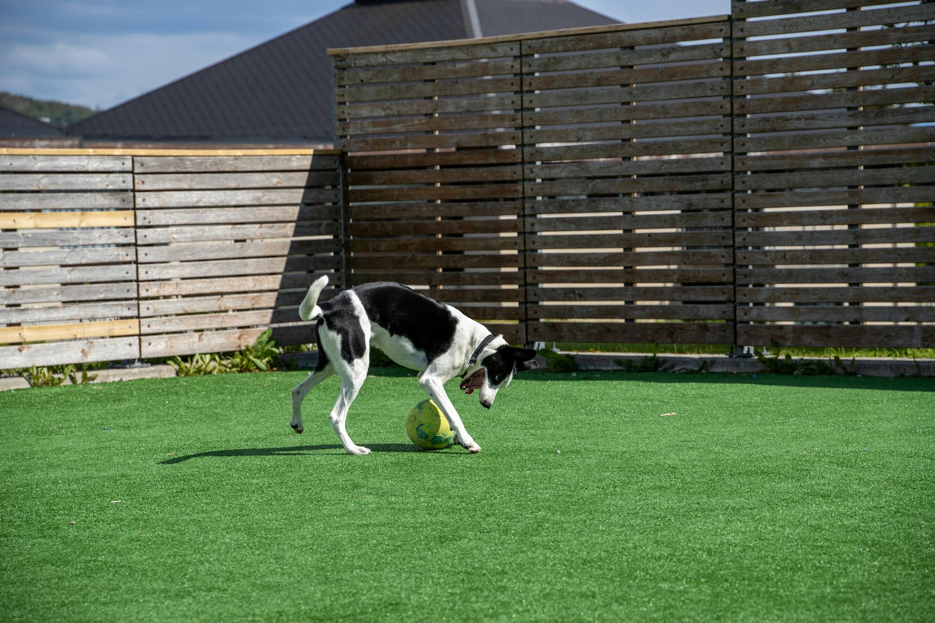 Is The Grass Really Greener? The Pros And Cons of An Artificial Lawn
