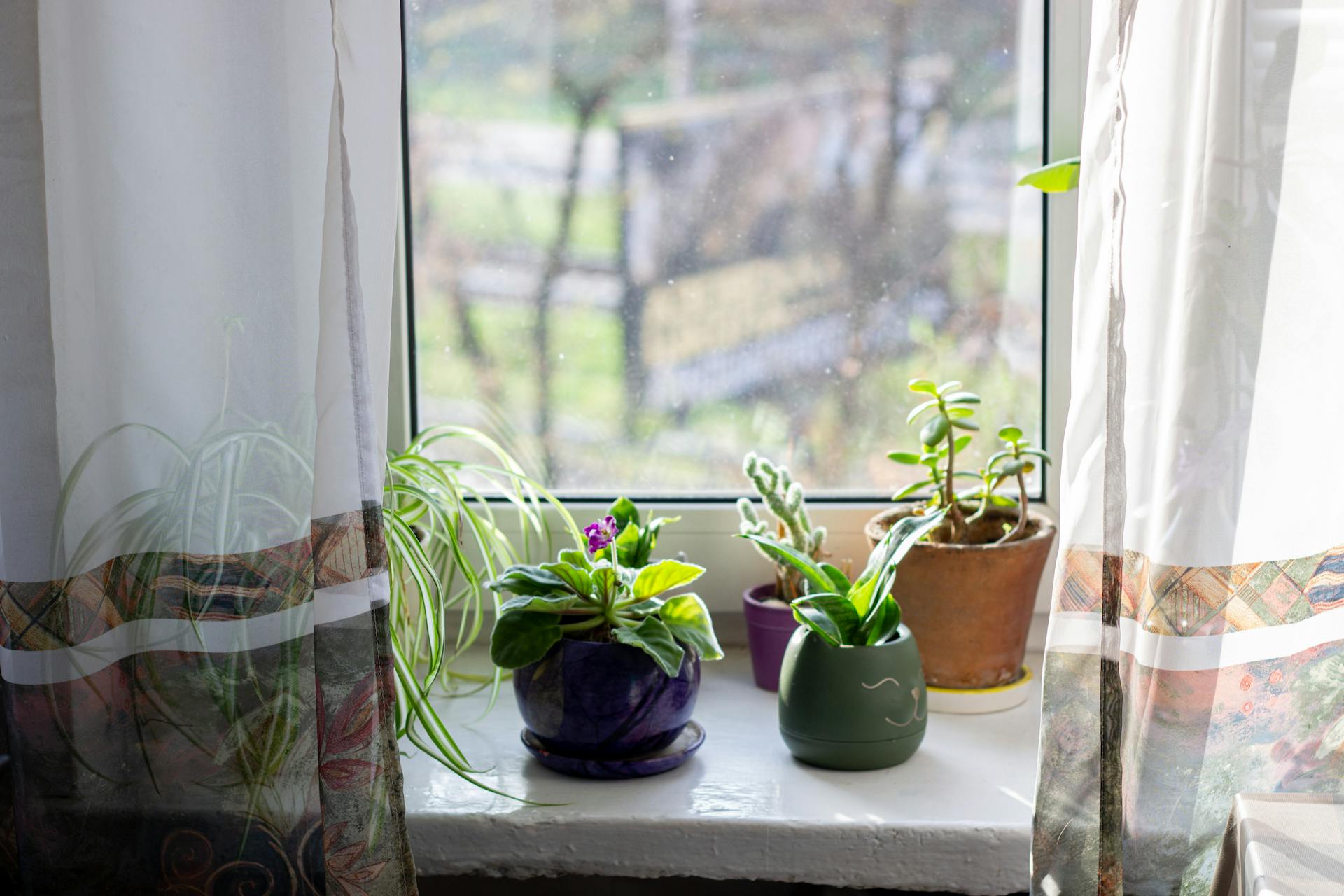 Adding A Little More Greenery To The Home Without As Much Maintenance