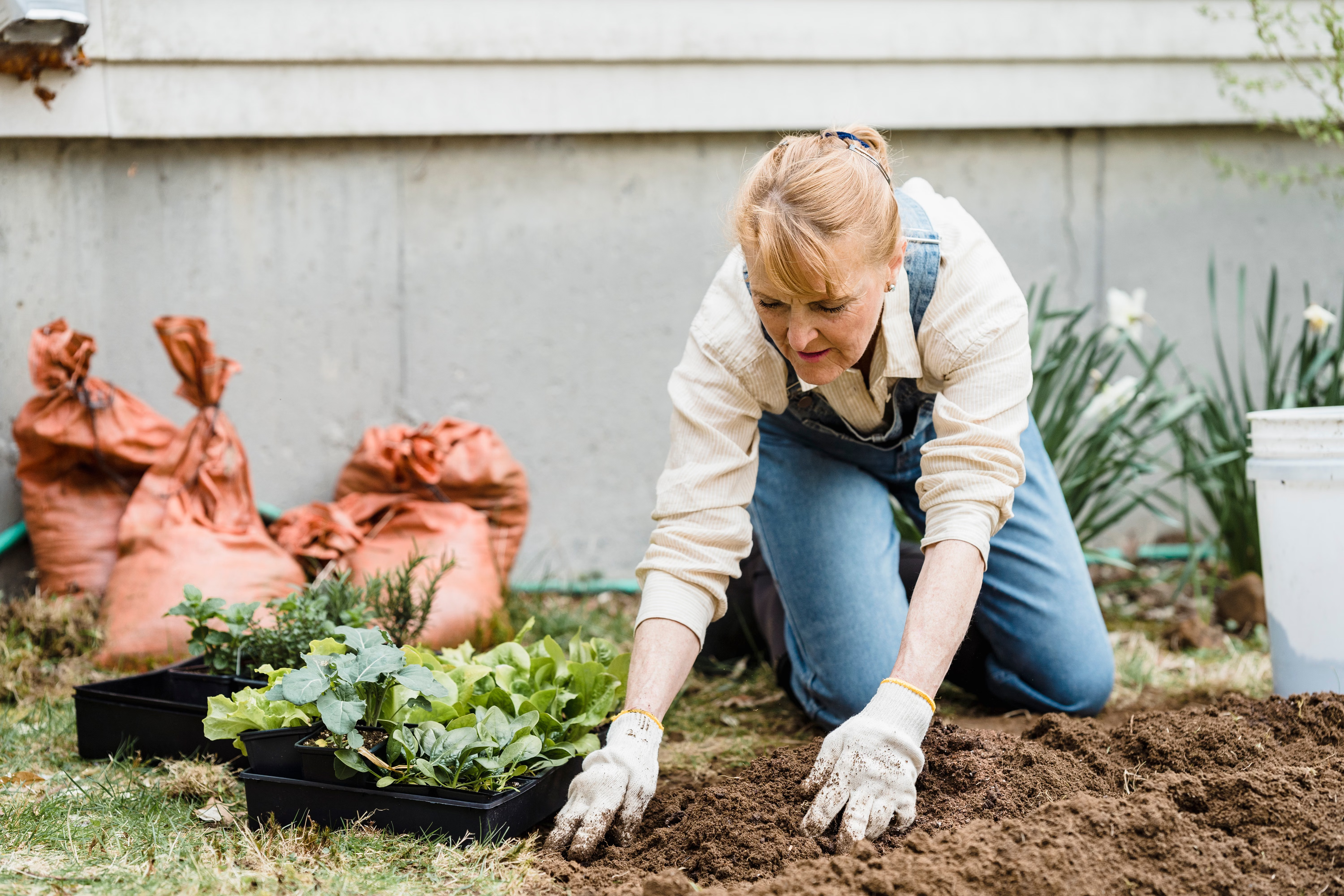 Protecting Your Garden Starts Below the Surface