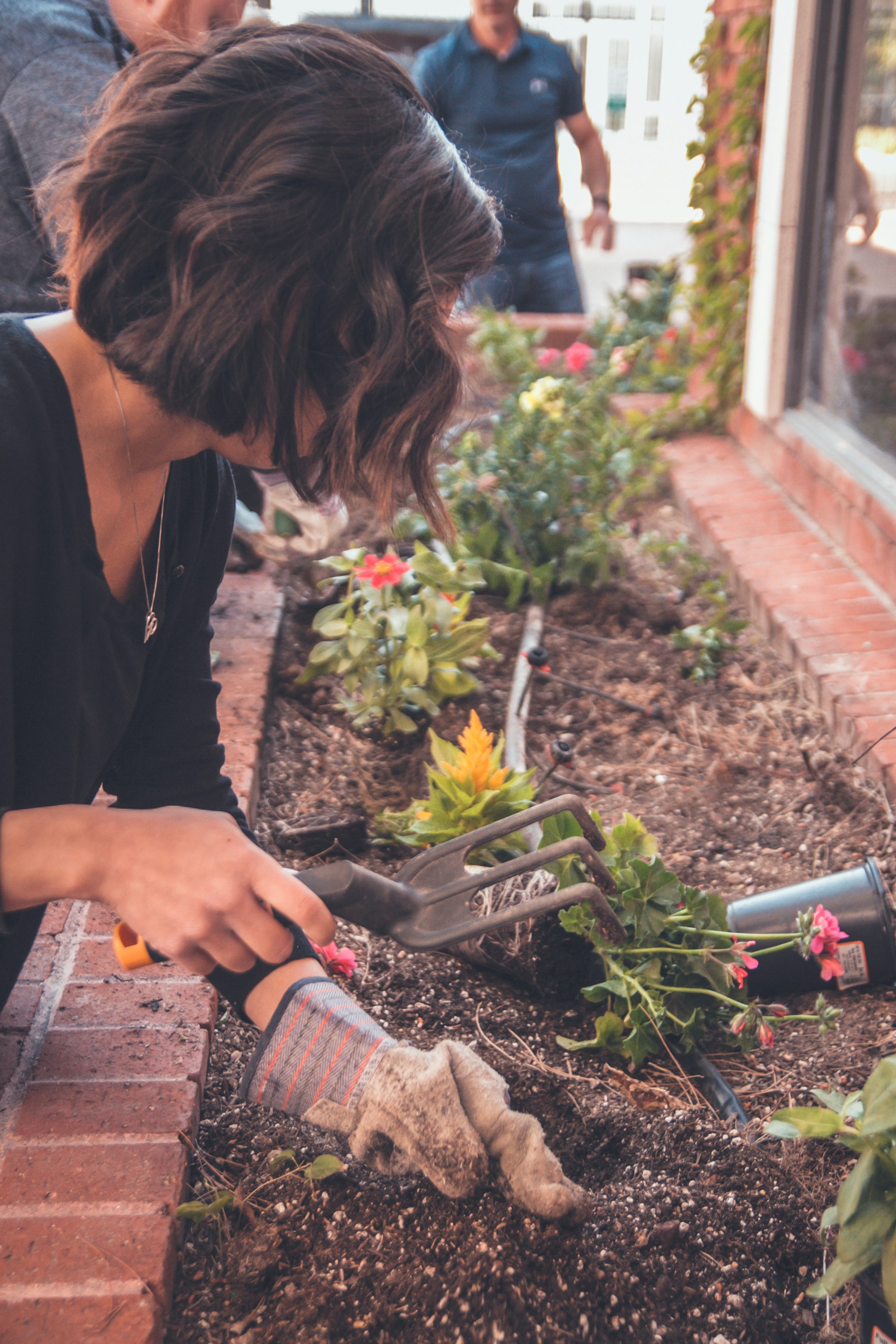 Beyond the Garden Plot: Integrating Edibles into Landscapes
