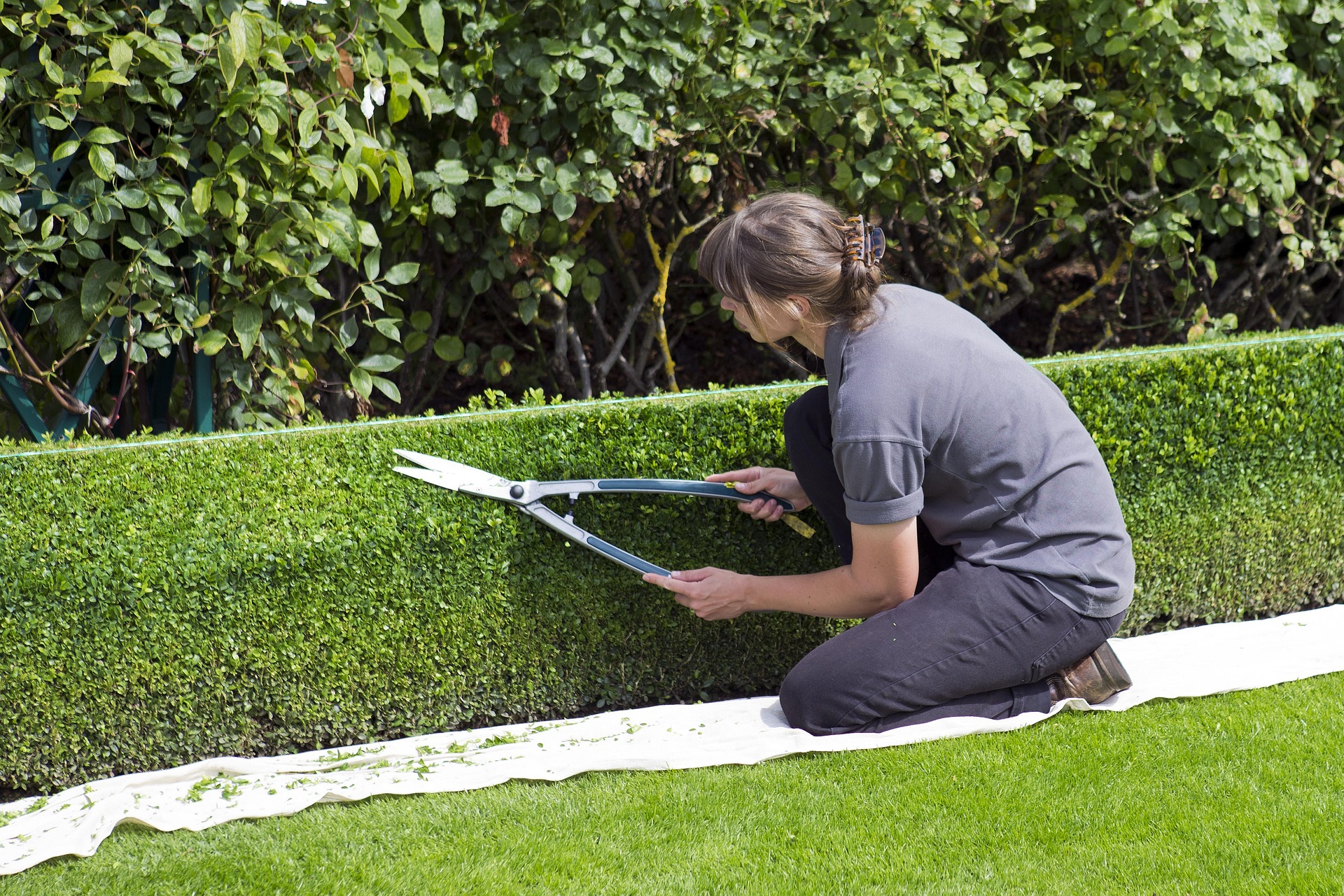 Common Mistakes Homeowners Make When Upgrading Their Yards
