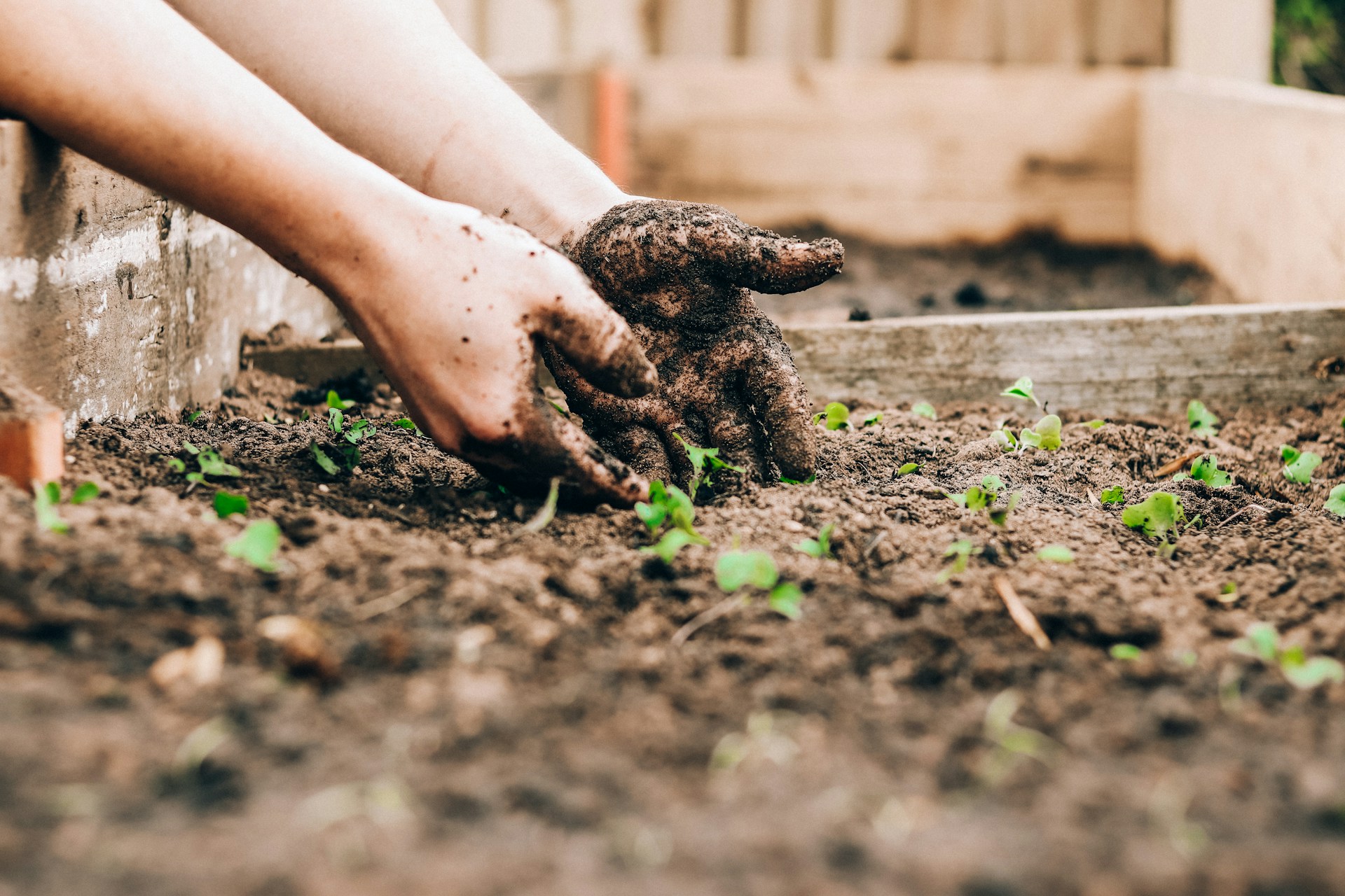 Healthy Soil, Healthier Plants: Building a Better Garden from the Ground Up