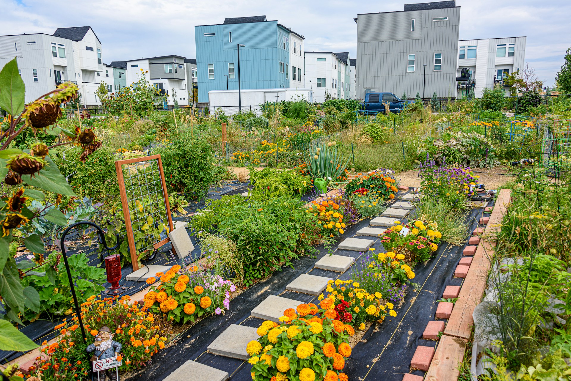 Community Gardens: Nurturing Growth and Preventing Problems