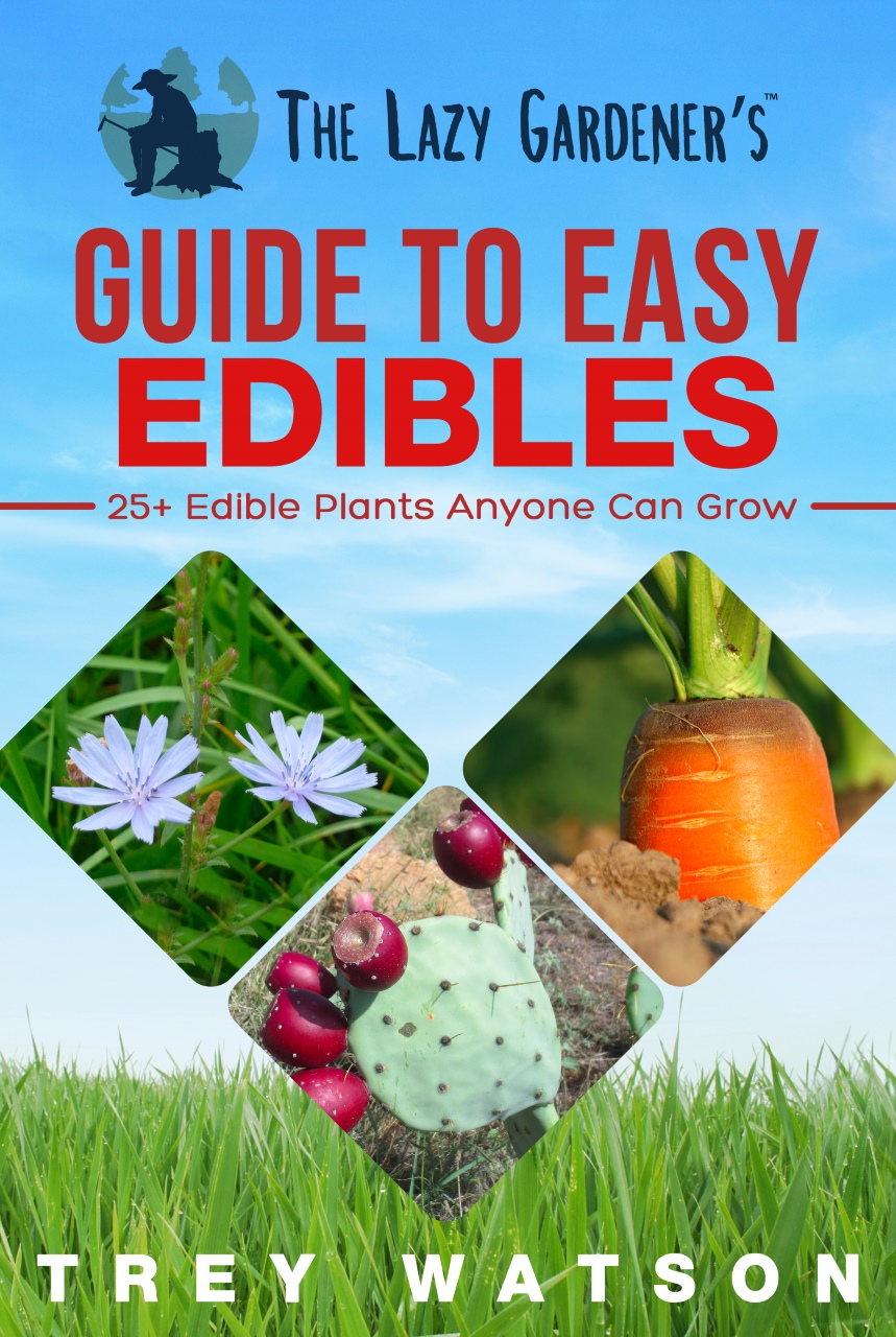 The Lazy Gardener's Guide to Easy Edibles