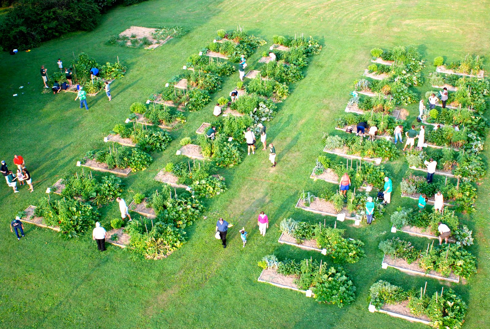 Community Garden Plots