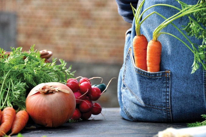 Organic Gardening - Tips & Tricks